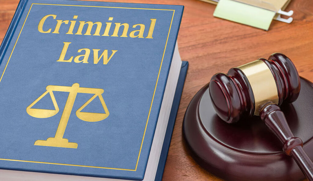 Criminal Law in India: Rights, Procedures & Legal Remedies Explained (2026 Guide)