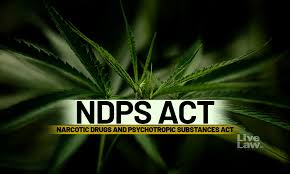 Beyond the Allegations: Safeguarding Rights in NDPS Cases